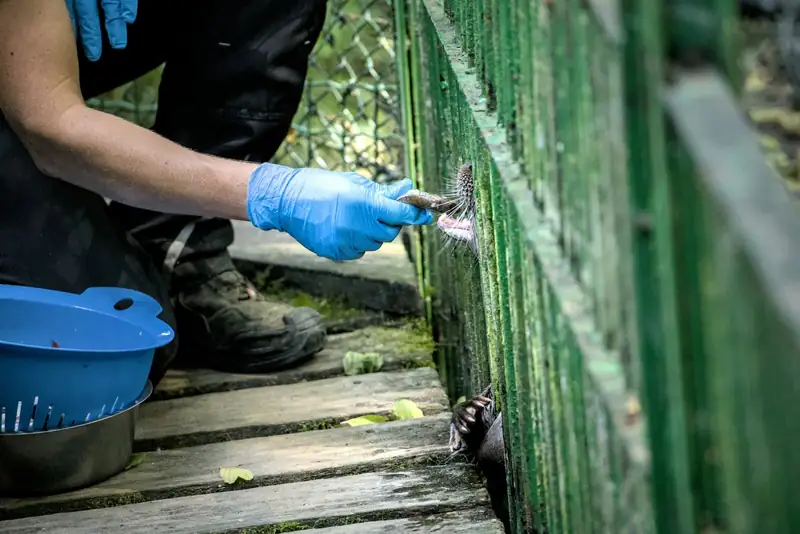 Pest control technician inspecting a home